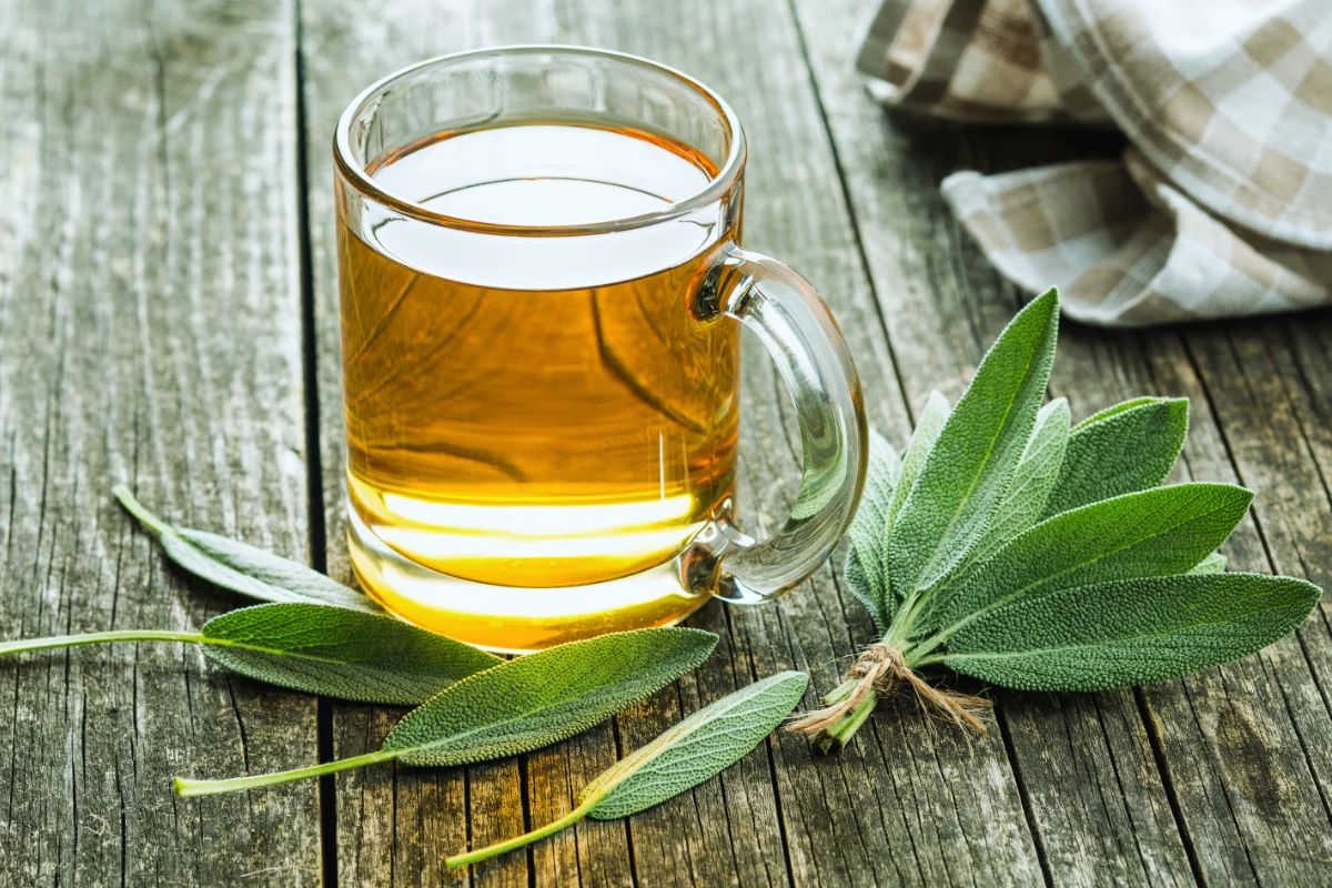 τσάι φασκόμηλου sage tea 1